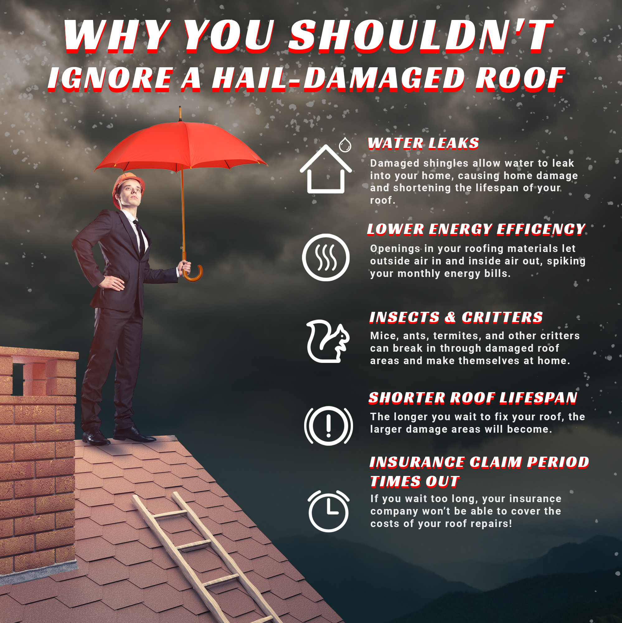Why You Shouldn't Ignore A Hail-Damaged Roof Infographic